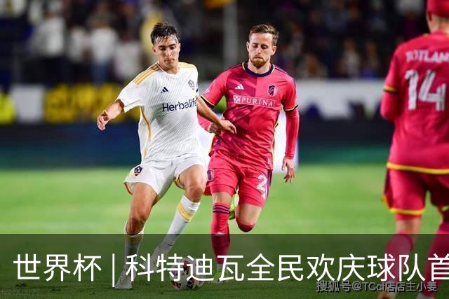 世界杯 | 科特迪瓦全民欢庆球队首进淘汰赛