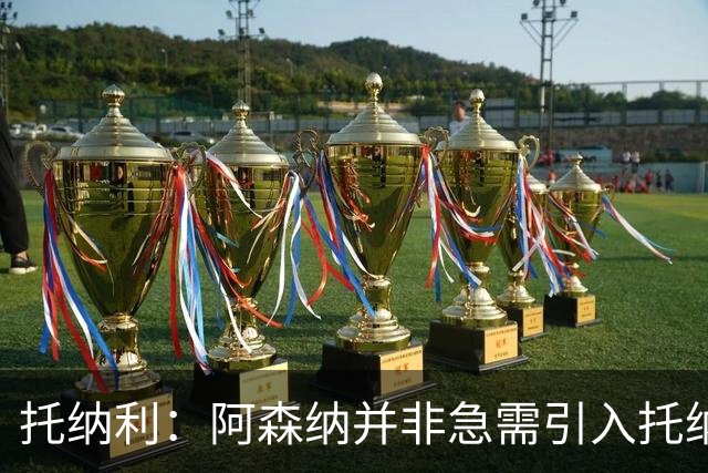 托纳利：阿森纳并非急需引入托纳利，不应花1亿英镑买他